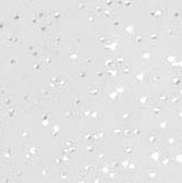 Fényesen csillogó lycra - WHITE (fehér)